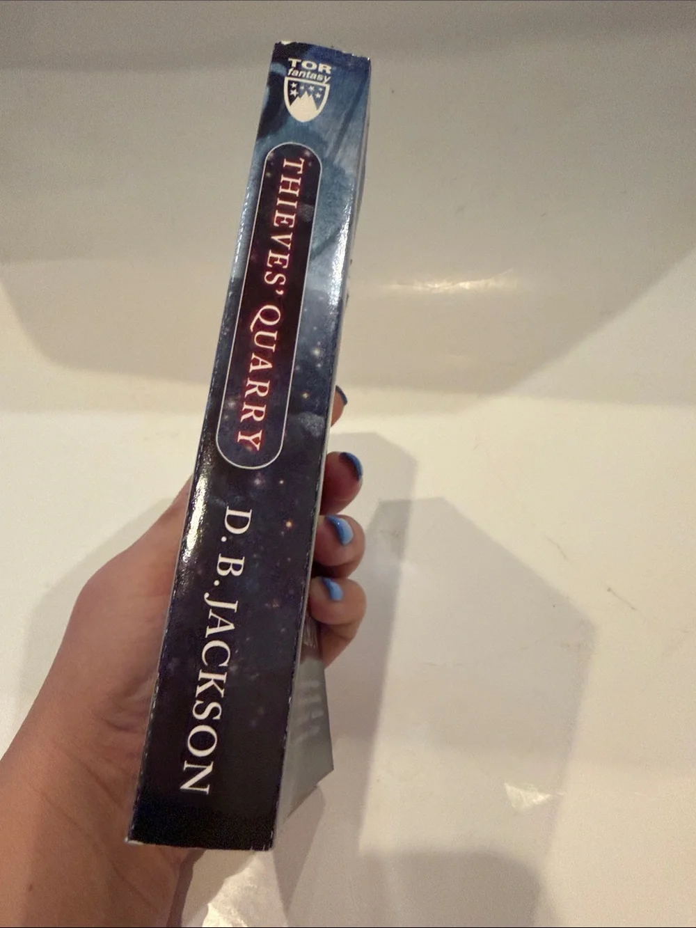 Thieves’ Quarry by D.B Jackson Book